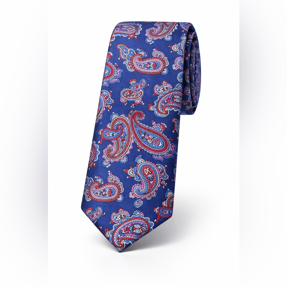 NEW! Roundtree & Yorke Blue Paisley Tie